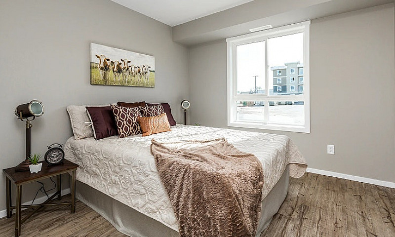 Pet-Friendly One Bed...