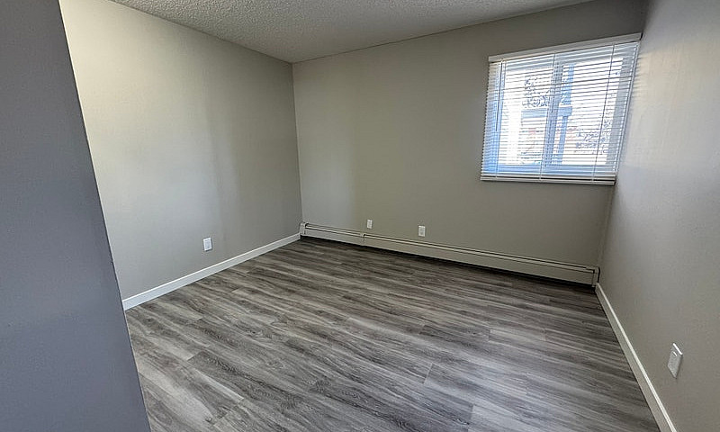 Amazing 2 Bedroom  A...