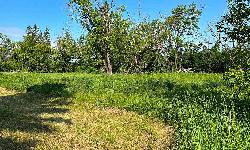 Lot 169Ft Frontage X...