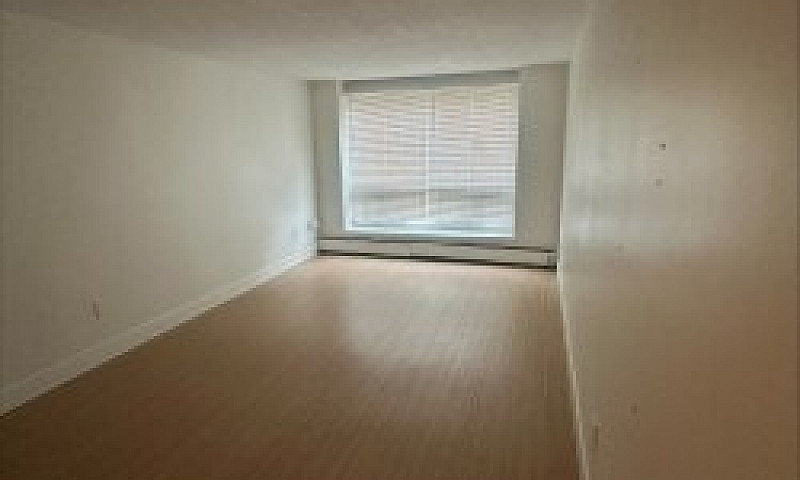 2 Bedroom - Newly Re...