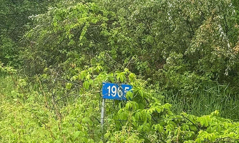 1965 Henderson Road ...