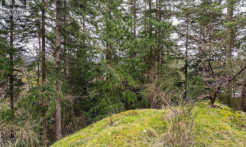 Lot A Skyline Drive ...