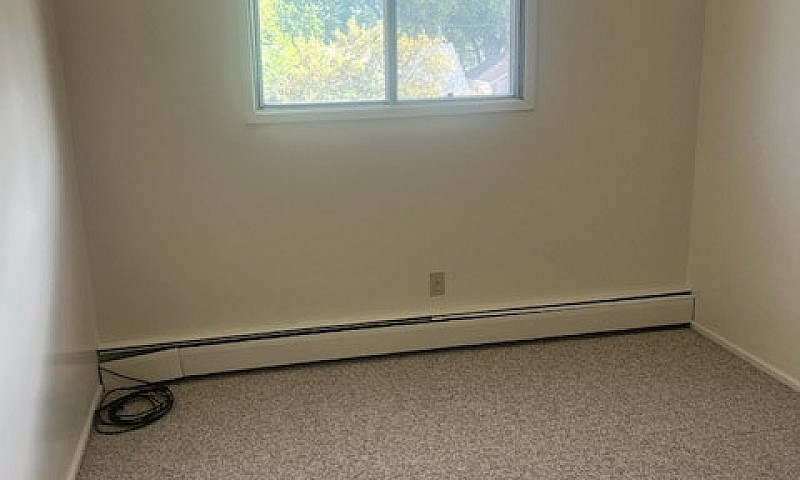 1 Bed City Park Apar...