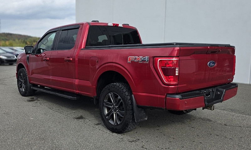 2021 Ford F-150 Xlt ...