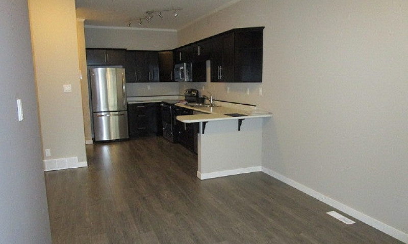 Kensington 1 Bed Con...