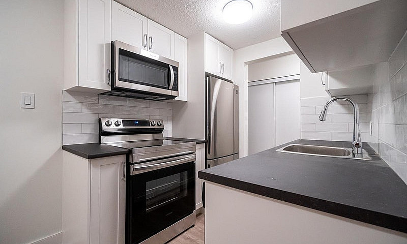 1 Bedroom Apartment ...