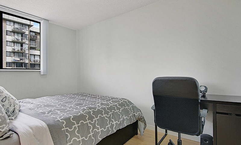 Ilikai - 1 Bedroom A...