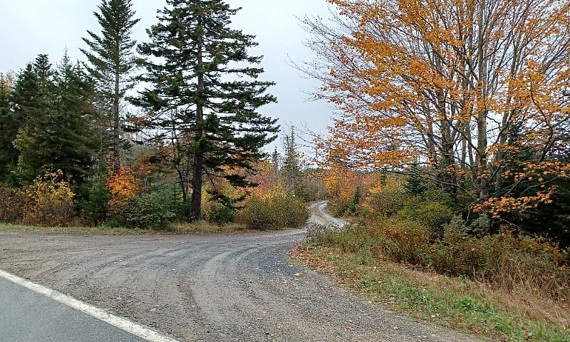 11 Acres Of Land On ...