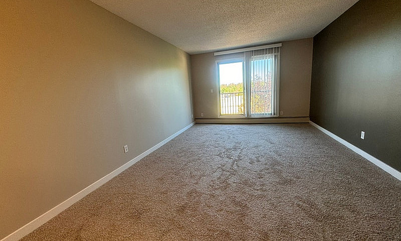 Spacious 1 Bedroom C...
