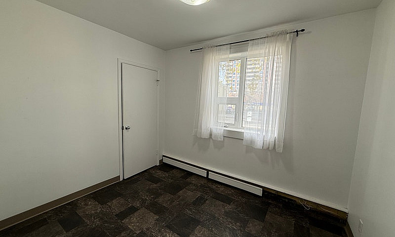 Downtown One Bedroom...