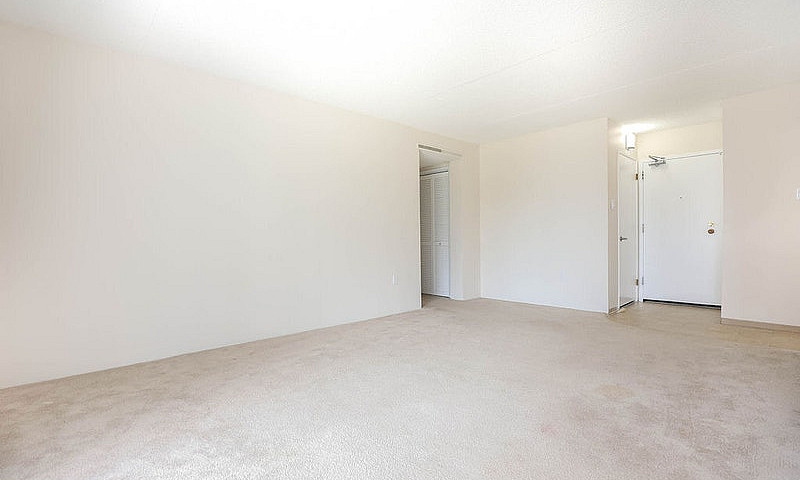 21 Roslyn Road - 2 B...