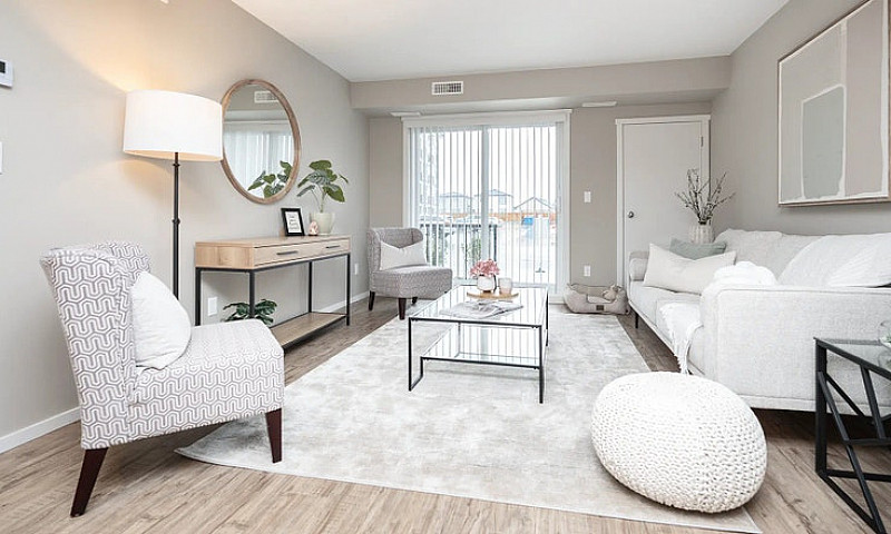 Pet-Friendly Three B...