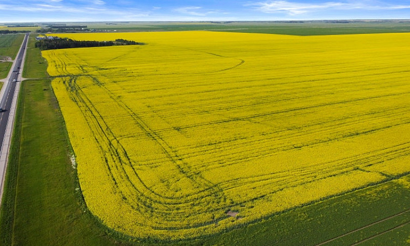 306.39 Acres | Rm Of...