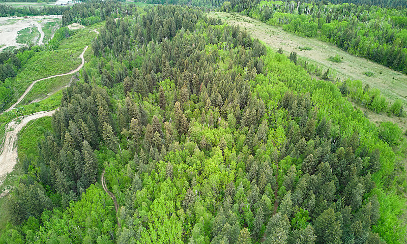 37.55-Acres In Histo...