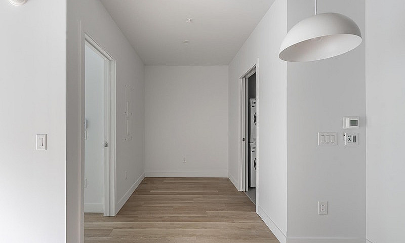 1 Bedroom Apartment ...