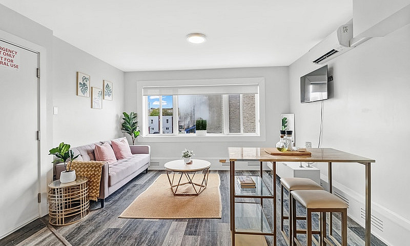 Renovated 1-Bedroom ...