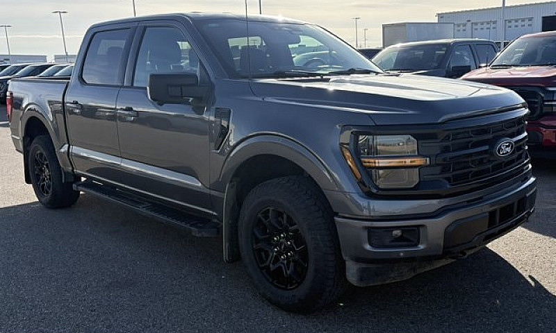 2025 Ford F-150 Xlt ...