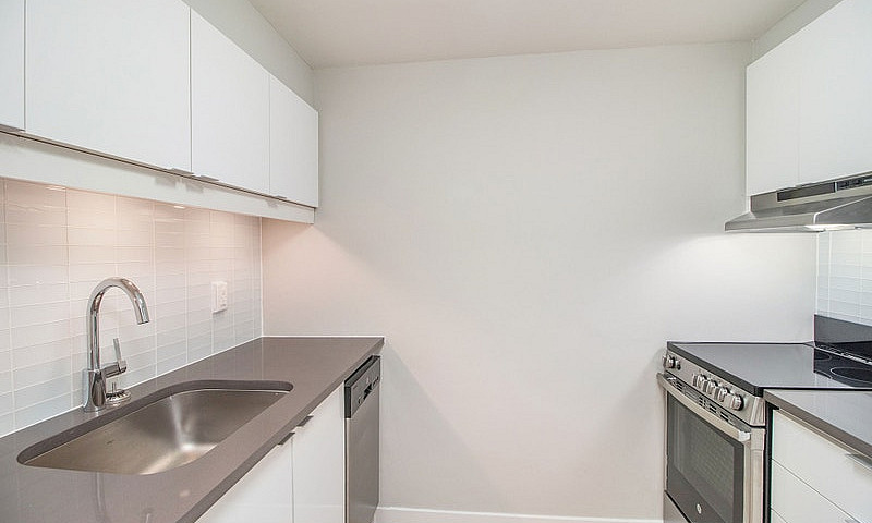 Renovated One Bedroo...