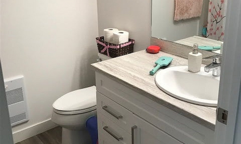New Build Basement S...