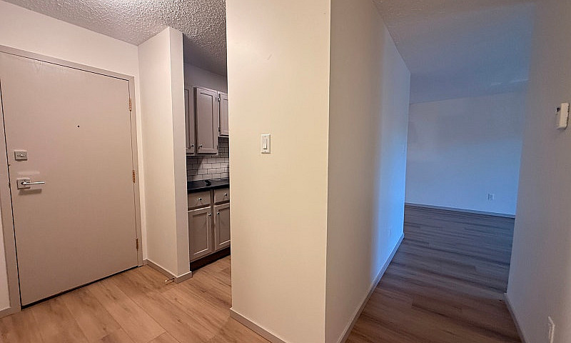 Renovated 2 Bedroom ...