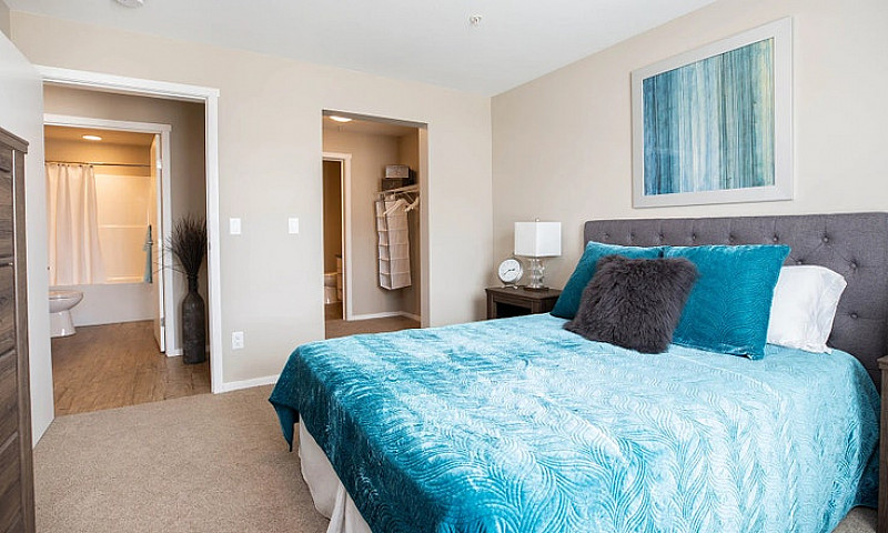 Pet-Friendly Two Bed...