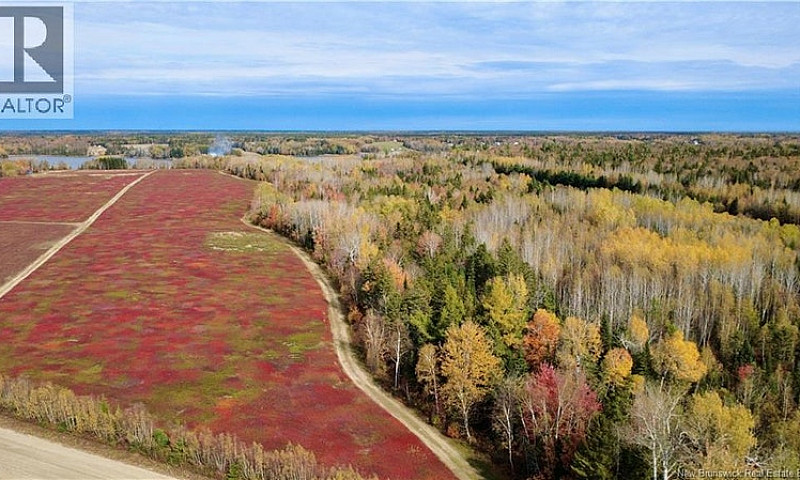 31.7 Acres Straight ...