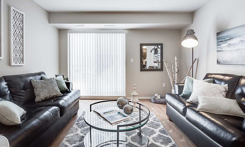 Pet-Friendly Three B...