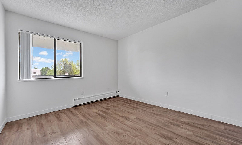 1 Bedroom Apartment ...