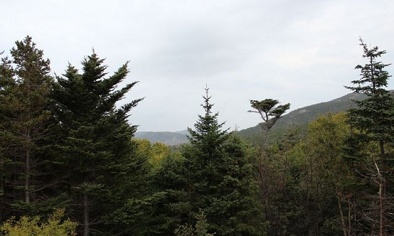 Lot 2 -Beachy Cove B...