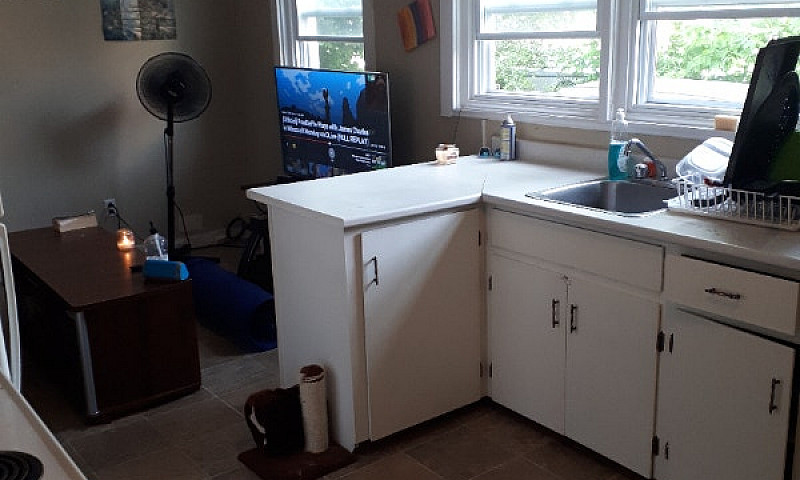 Downtown 1 Bdrm Apt ...