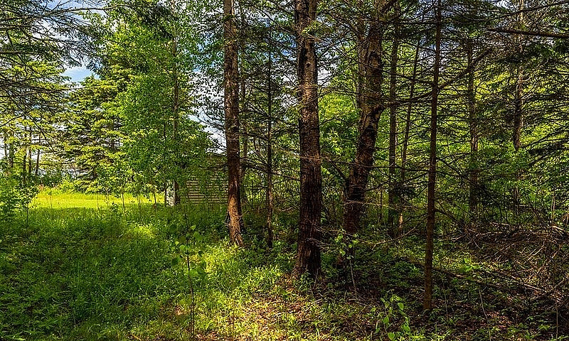 Waterfront Lot In Jo...