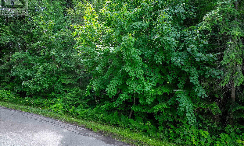 1571 Pratico Road Re...