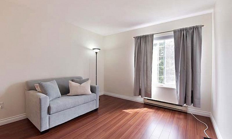 Bright, Spacious Con...