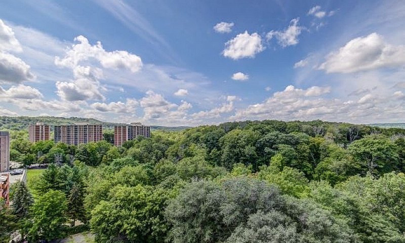 2 Bedroom - Fully Re...