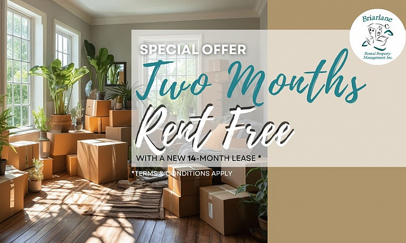 1 Bedroom Apartment ...