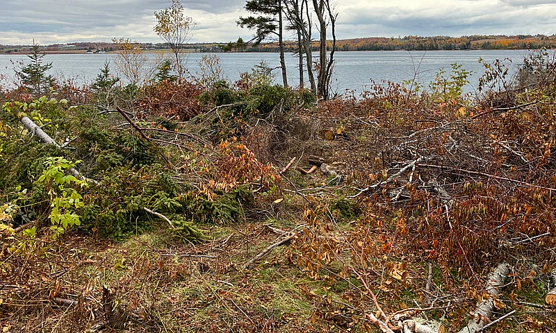 Waterfront Lot In Jo...
