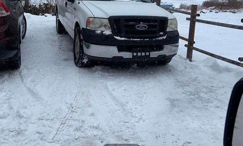 2005 Ford F150 & Lon...