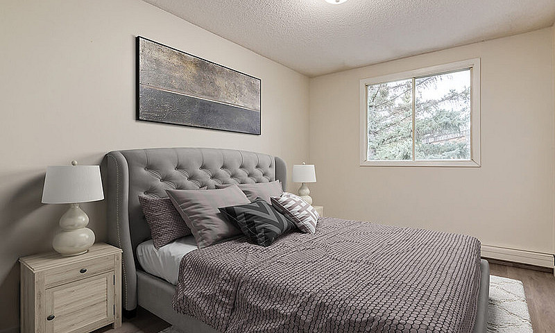Modern Apartments Wi...