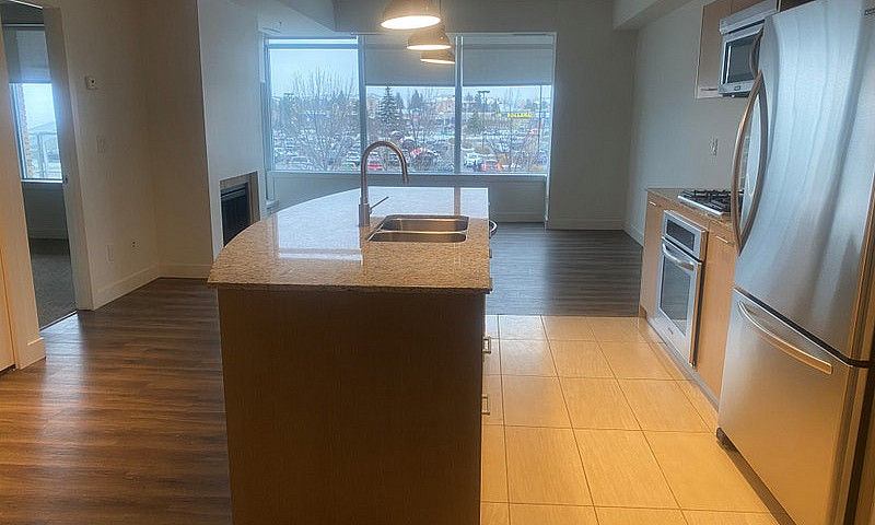 1 Bedroom Luxury Con...