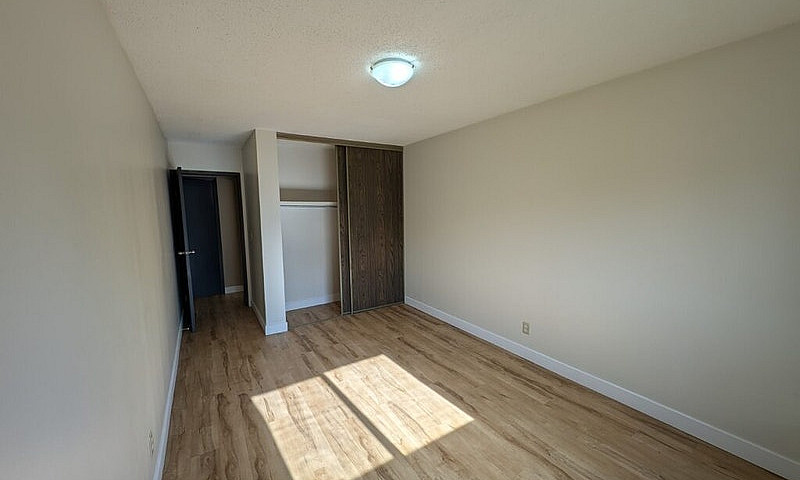 Senior Promo - 2 Bed...