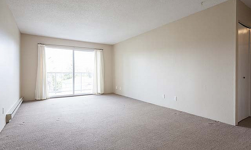 Mayfair Manor Apartm...