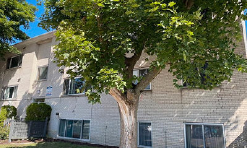 1 Bedroom Apartment ...