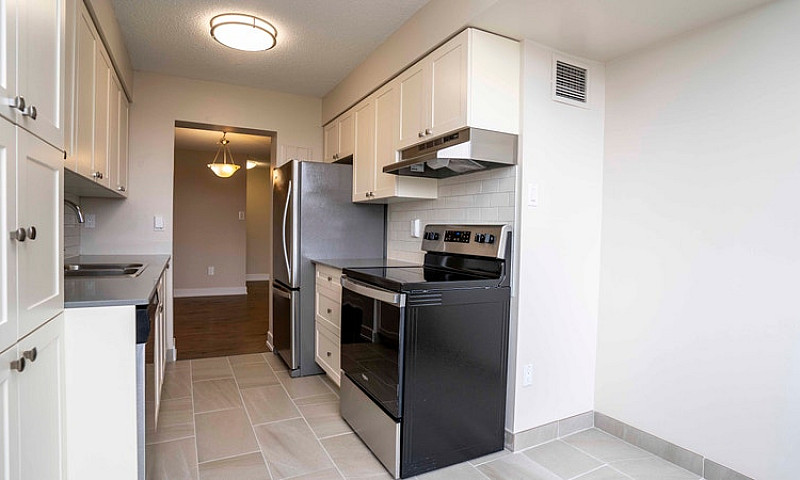 3 Bedroom Apartment ...