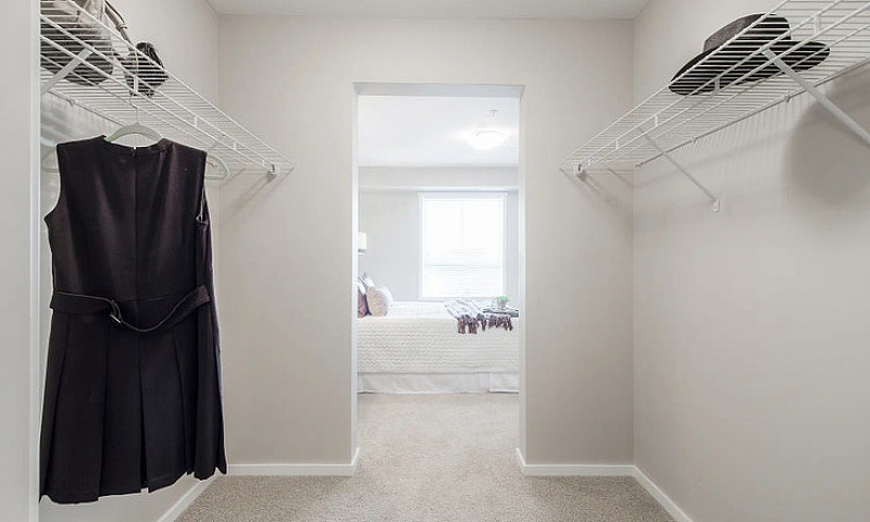 Pet-Friendly One Bed...
