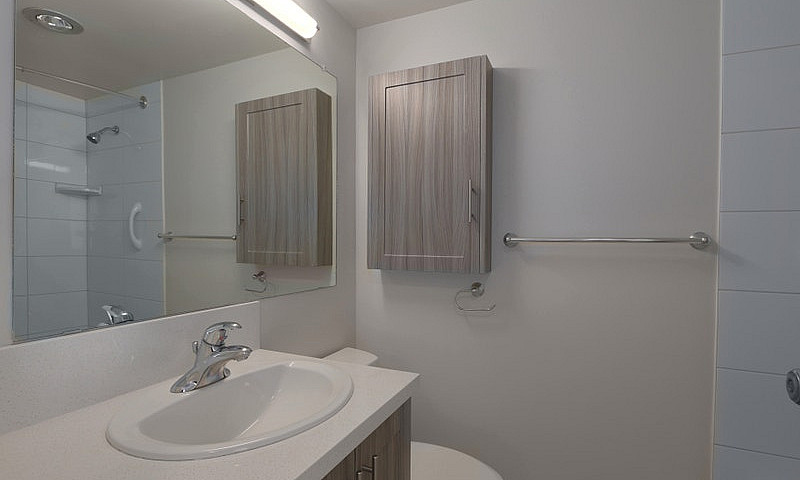 Newly Renovated Apar...