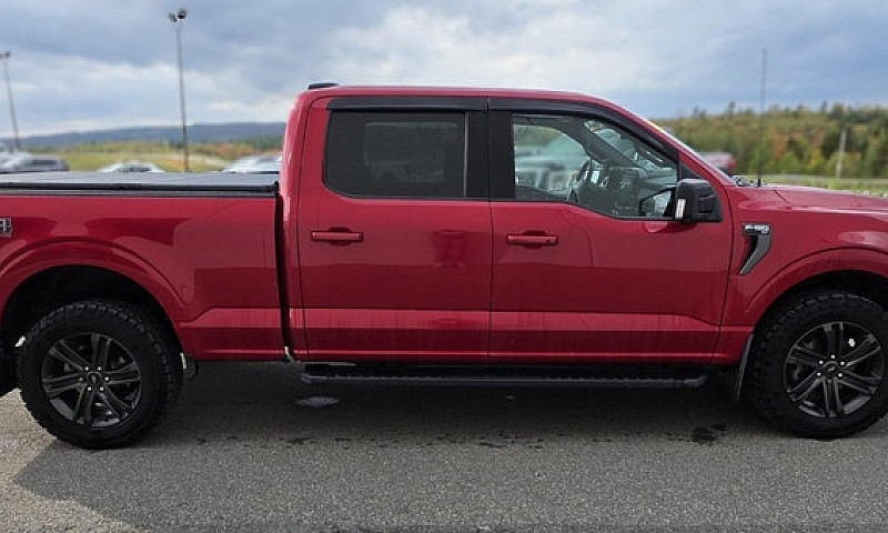 2021 Ford F-150 Xlt ...