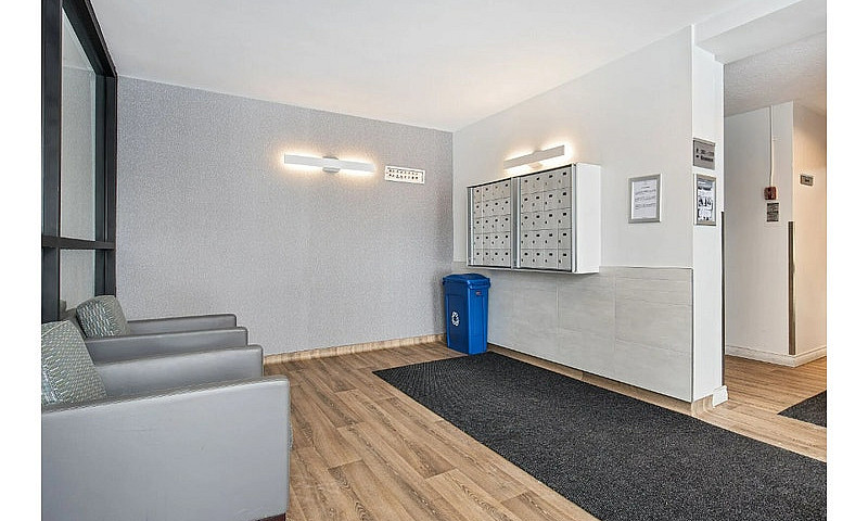 1 Bedroom Apartment ...