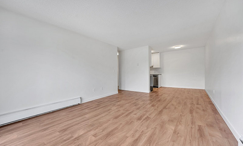1 Bedroom Apartment ...