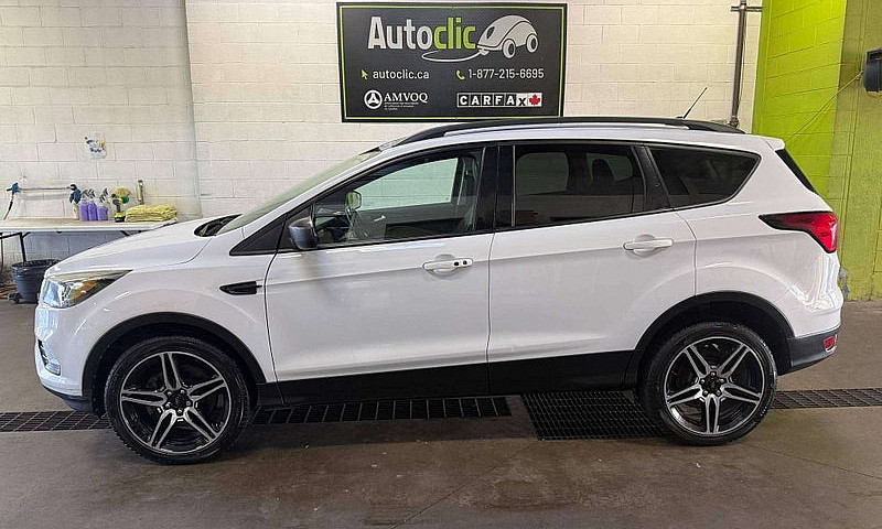 2019 Ford Escape Sel...