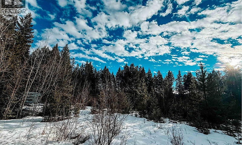 5724 Timothy Lake Ro...